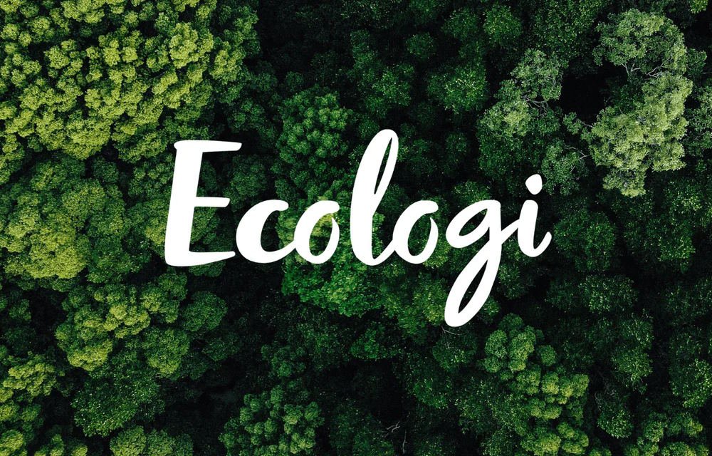 Leading in Sustainability: Ecologi and Ultrimax’s Environmental Impact - Ultrimax